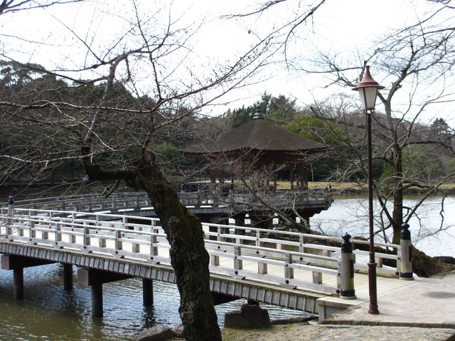 　浮見堂が見えます。