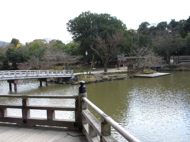 　浮見堂からの眺め<br /><br />向う岸