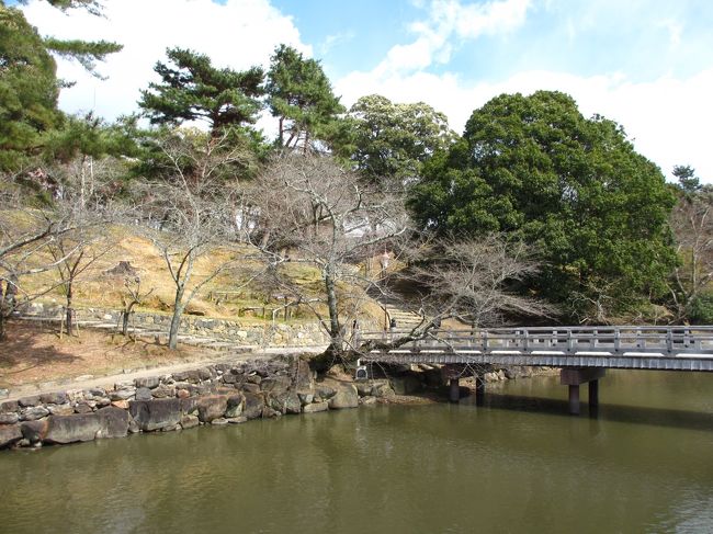 　浮見堂からの眺め。<br />池の側には桜の木がたくさんあります。<br />桜が咲く頃に浮見堂と桜を一緒に写すときれいだろうな・・と思いました。