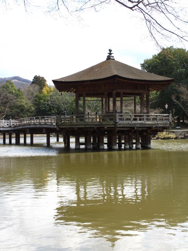 　池の側からの眺め