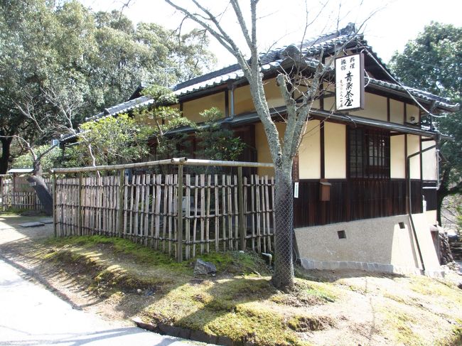　坂を上がると１日目の奈良観光で夕食を食べた青葉茶屋の側に出ました。