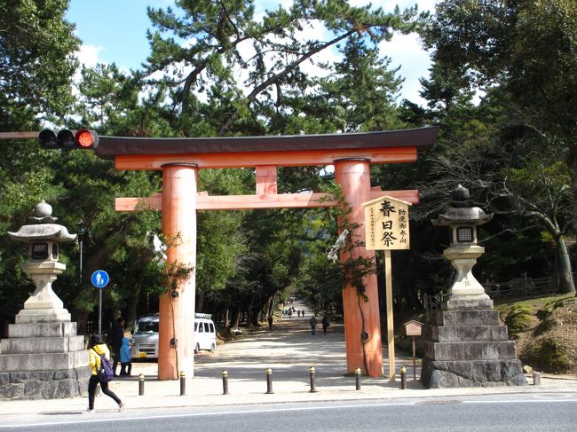 　春日大社の一之鳥居の所まで出ました。<br /><br />この参道をっまっすぐ向こうに向かって歩くと春日大社です。<br />私は向こうからこっちに向かって歩いて来ました。