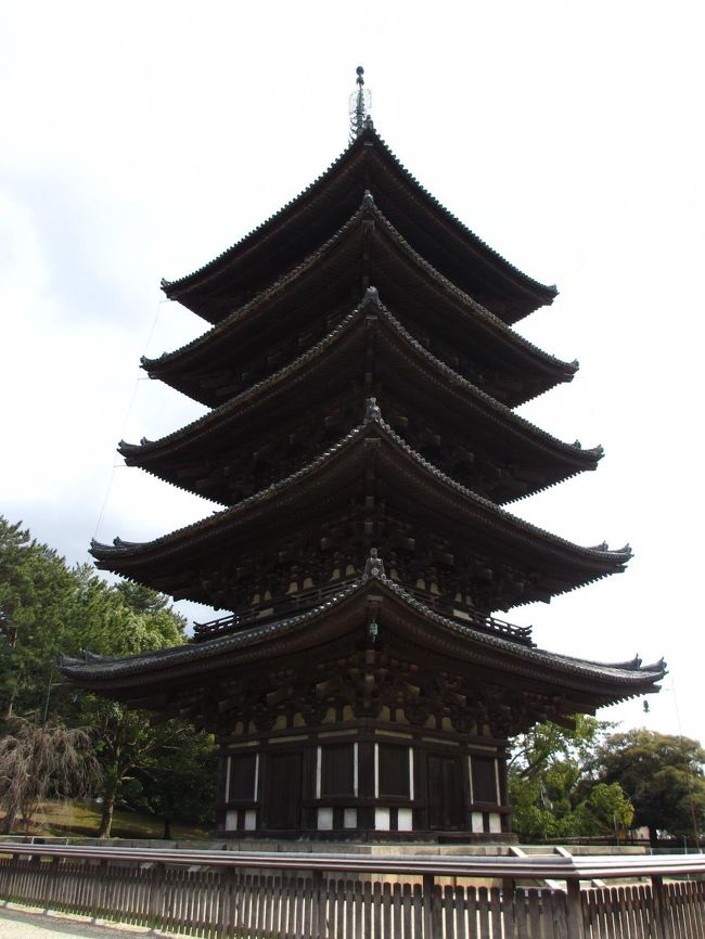 　興福寺　五重塔