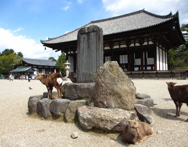 　金堂近くの石碑