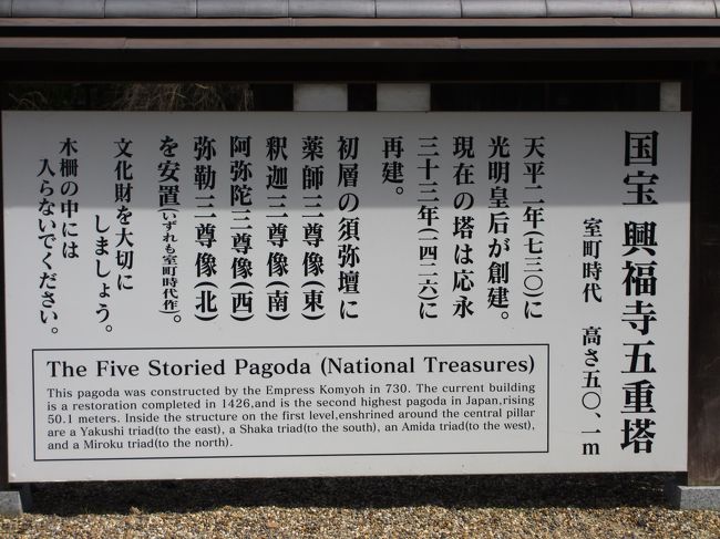 　高さ　５０．１メートルだそうです。