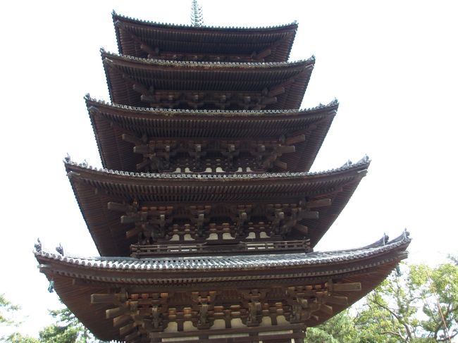 　屋根の反り具合