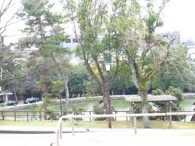 　南大門跡から猿沢池を見る