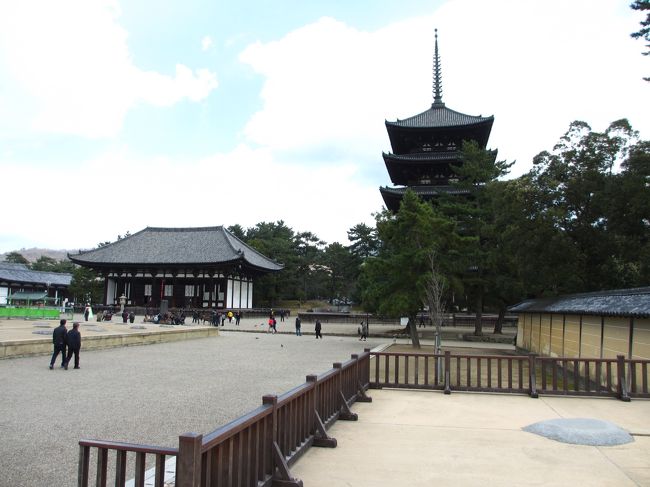 　南大門跡から五重塔、東金堂を見る。<br /><br />南大門跡と続く塀はありますね。