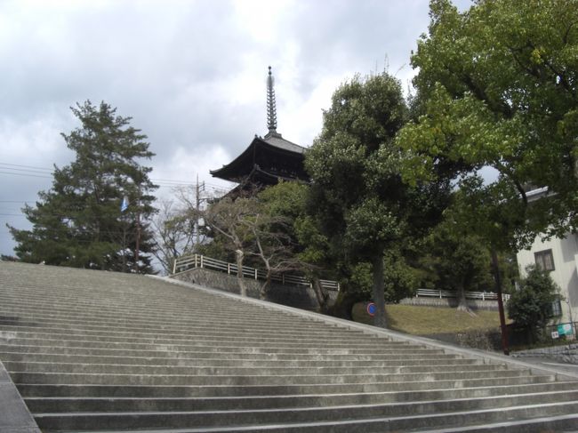 　ちょっと上がるのきつそう・・。<br />登る元気ないです。