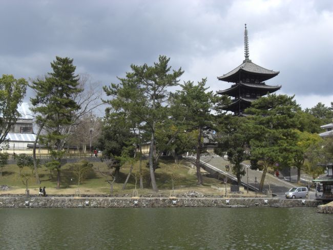 　猿沢池から興福寺の五重塔を眺める。