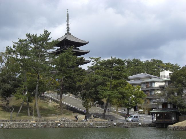 　ちょっとアップ