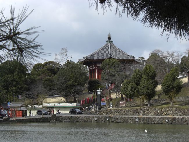 あちらは南円堂