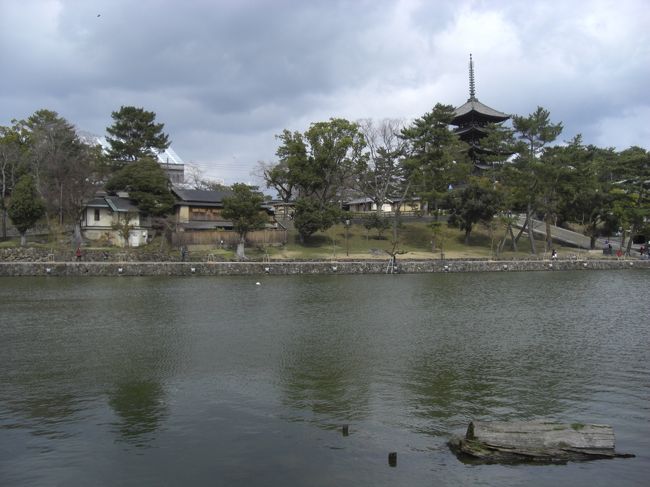 　猿沢池<br /><br />結構大きいです。