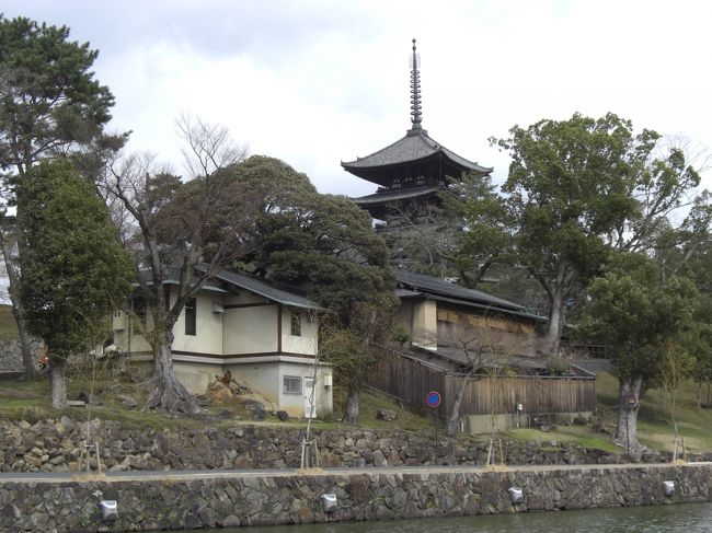 　だいぶん猿沢の池を歩きました。