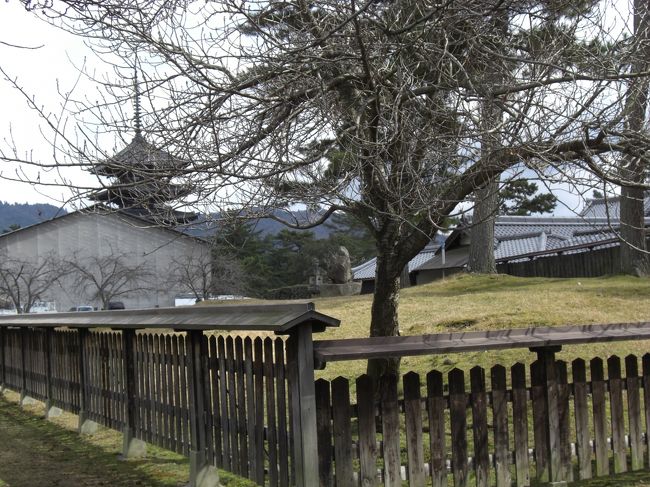 　北円堂前から五重塔や中金堂方面を見る。<br /><br />この辺りには西金堂跡がありますが、囲いがあるので中には入れないですね。