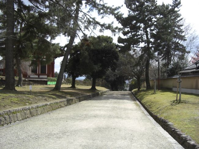 　振り返って南円堂を眺める。