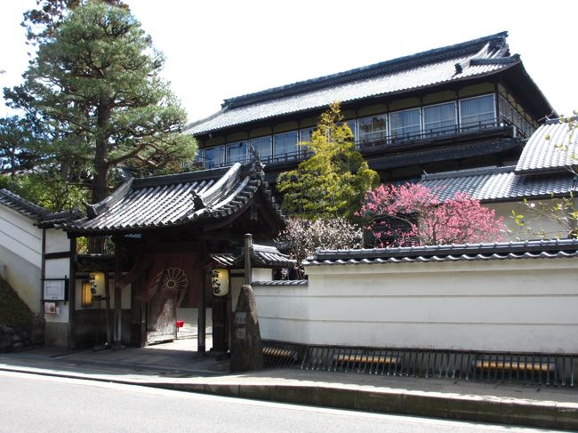 　紅梅がきれいですね。