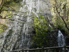 その駐車スペースから100m程歩くと『龍双ヶ滝』の雄姿が見えます！
この滝は道路脇にある“超お手軽滝”なのです！
