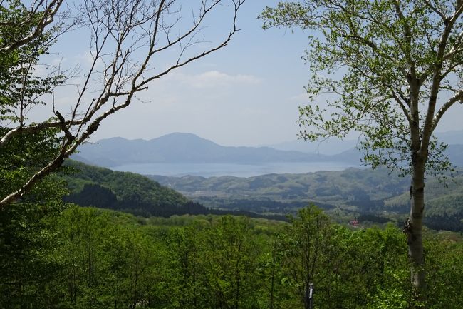 後ろは山々、前は田沢湖、あたりは白樺林です。<br /><br />心が洗われるようです〜