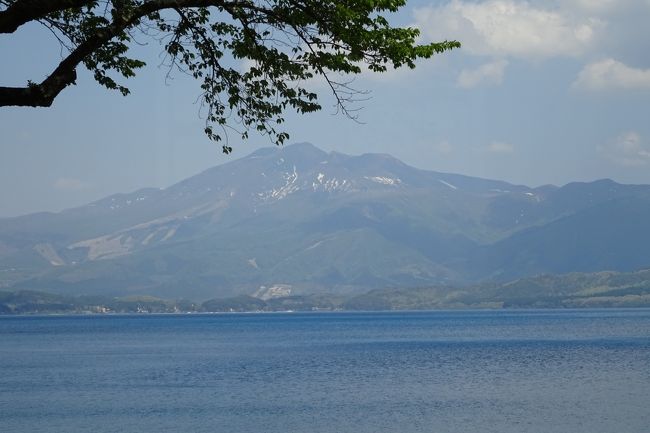 駒ヶ岳でしょうか？（自信なし）