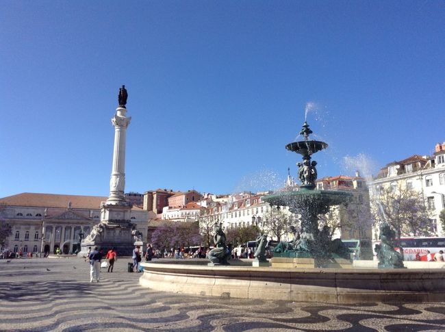 ココから観光スタート