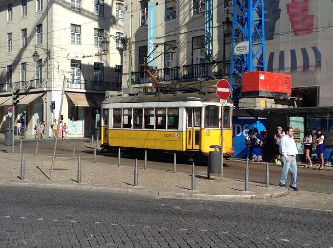 また散策に歩き出します