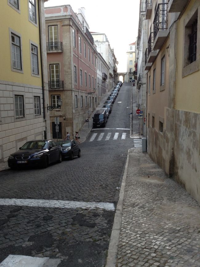 一休みした後、また出掛けて行きました。