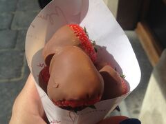 駅に着いたらちょうどブリュッセル行きのICが来たので、それに乗る。
今度は1時間で帰れる。
表示ではセントラル駅にも停車するっぽいのでそこで降りることに決めた。

Midi駅直前で起きる。
寝てたっぽい。電車での記憶がないから、寝てたな。
危うく乗り過ごすとこだった。
ちゃんと起きた私すごいな〜。

グランプラスをぶらぶらしながらチョコレートをかけたイチゴを食べて、