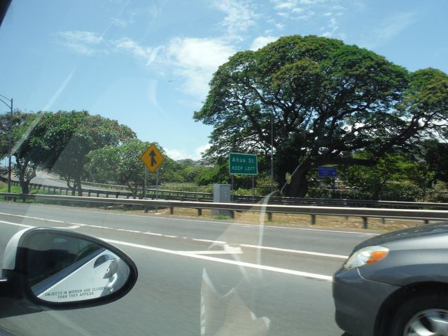 ２時くらいにアウラ二到着しないとなので、ワイケレに急ぎます。<br /><br />８番で降りてすぐなのですが、駐車場が満杯！！<br /><br />運で入れるところもあって、みんな殺気立ってるのを感じます、、、。<br /><br />早い時間かツアーバスがいいかもです。