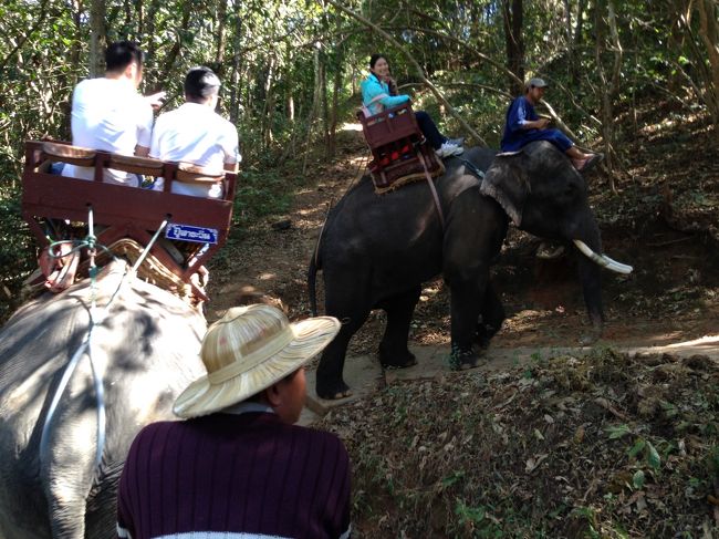約1時間の象のりでした<br /><br />すごい傾斜を登ったりしてくれる<br />頼もしい　そしておりこうな　象さんでした