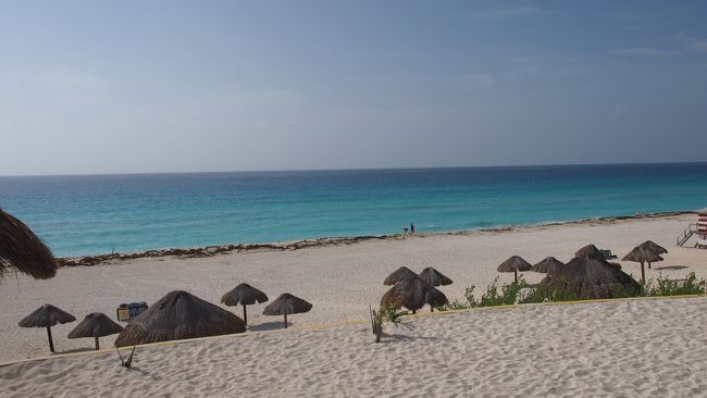 きれいに見えますが、今年は海草が多く打ち上げられているそうです。残念