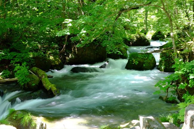 青森県十和田湖奥入瀬渓流 奥入瀬渓流｜新緑・紅葉・氷瀑を巡る四季の絶景トレイル | 青森