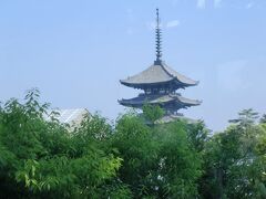 初夏の清々しい朝。荒池越しに興福寺の五重塔が爽やかな姿をみせています。