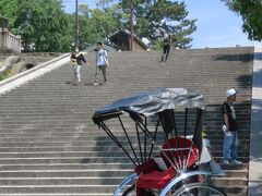 奈良町から東へ向かい、五重塔の下にやって来ました。

菊水楼の玄関先木陰で小休止、