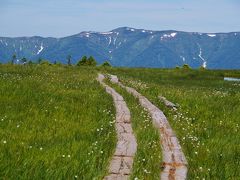 登山口から約1時間30分で田代山の山頂、田代山湿原に入りました。２つの大きな谷を越えた先にある会津駒ケ岳（2,133メートル）がこの湿原とつながっているように見えます。田代山は世界でも珍しい山頂湿原。山の空撮写真（南会津町観光協会WEBページ）をご覧になれば、なんとも不思議な山であることがわかります。
http://www.kanko-aizu.com/miru/2935/
