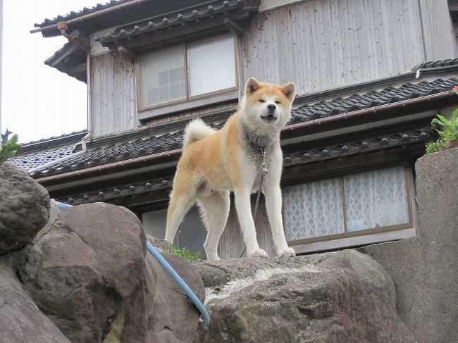 15夏 初の鳥取 コナン旅 移動とホテルと台風11号 北栄 鳥取県 の旅行記 ブログ By ぴこらさん フォートラベル
