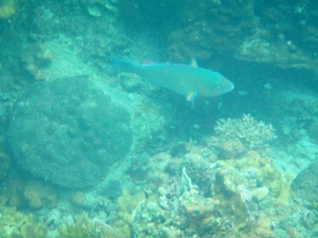 なんだろね<br />動くもの見るととにかく撮る