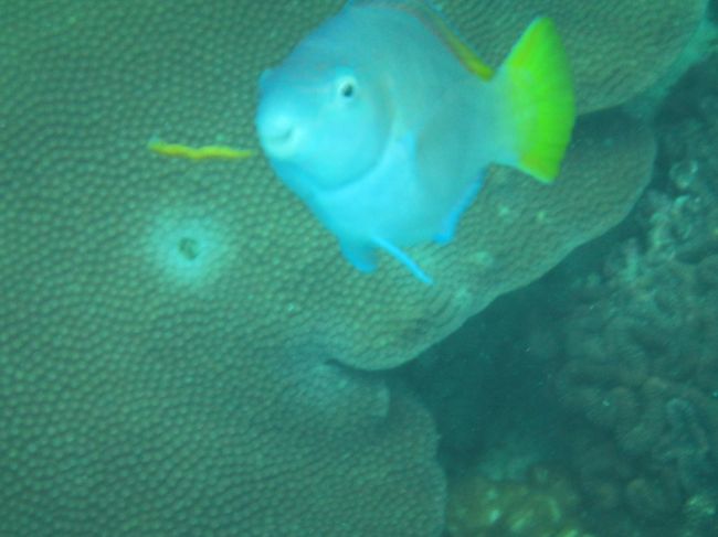 この子<br />突然寄ってきた