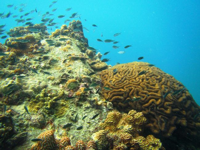 下からの眺め<br />上の方に湧いてます