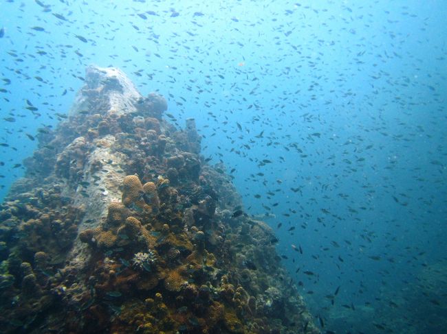 なんかねぇ〜<br />黒山の魚たかりだな
