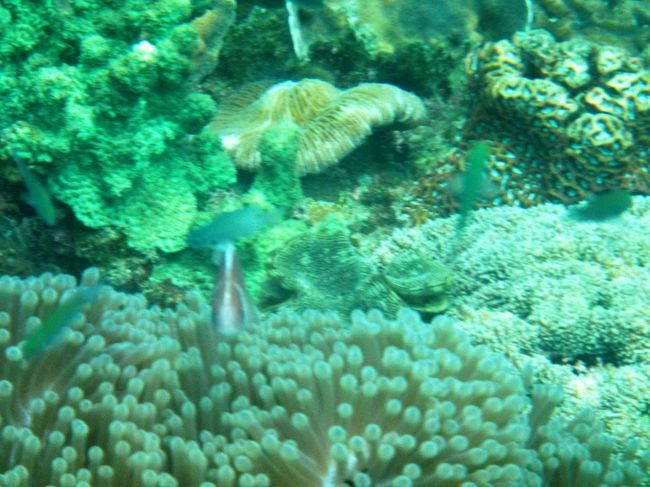 こちらを睨んでますな