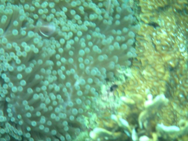 頭出して<br />見張ってます(^_-)-☆