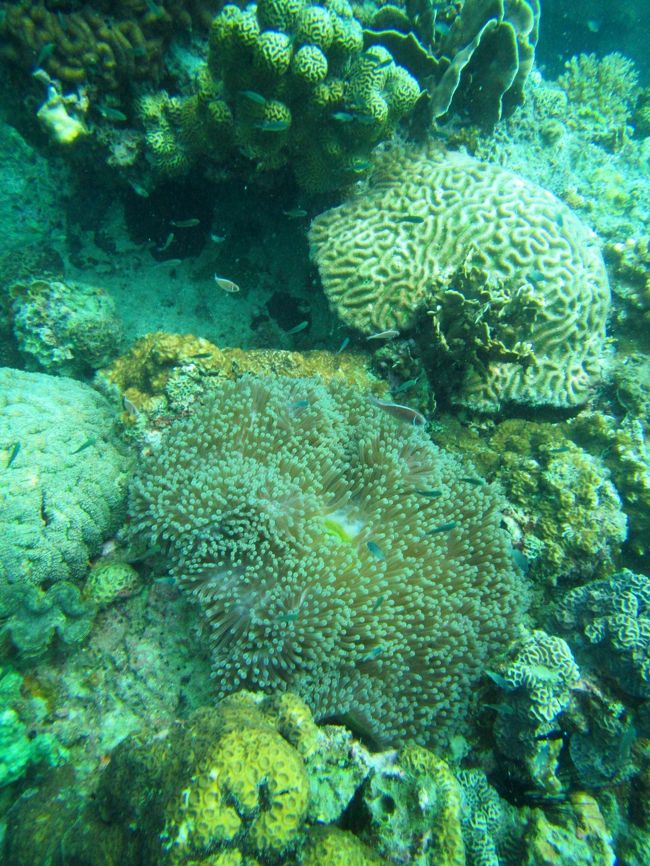 居るよ(*^_^*)<br />奴が居る<br />