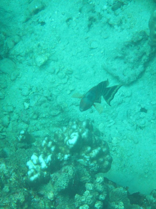 次から次へと出会いがある