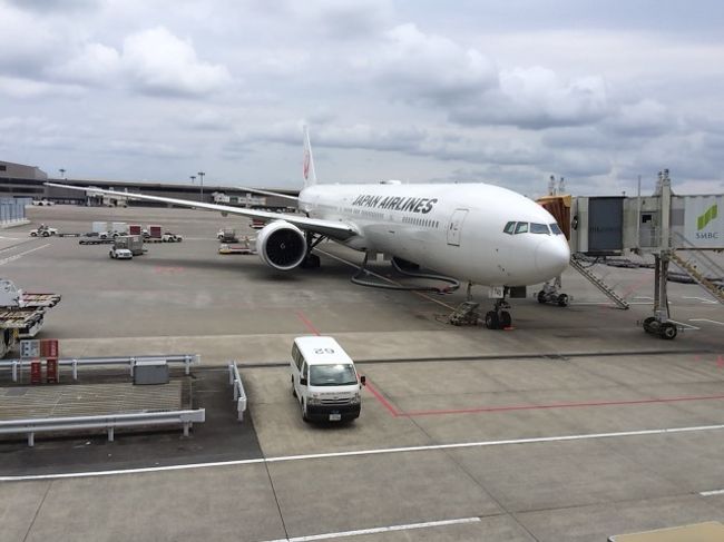 JALでフランクフルトまで11h時間くらいのフライト。<br />機材は777-346ER。初めてのSky Suite搭載機材に乗ります。