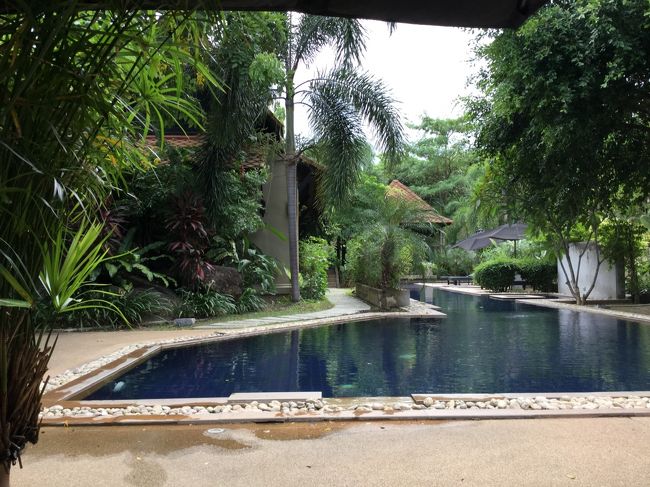 そんでもって<br />今回の宿泊先はリピでモントラホテル