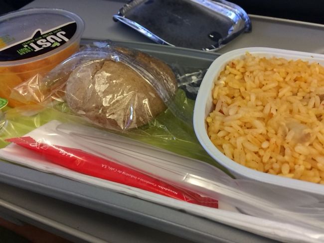 FRA-LISは3:30のフライト。<br />しっかりした機内食がでました。<br />Arozて書いてあったので、チキンライスでしょうか。+パン。<br />炭水化物と炭水化物の組み合わせ。<br />