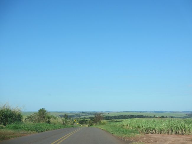 ７月１８日<br />　雲１つ無い快晴！、気温急上昇！<br />　　冬なのに暑くて半袖に短パンで<br />　　　農場も青々としてた