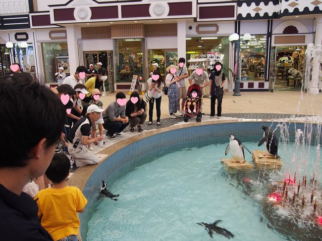 　エントランスに入ると、お姉さんが可愛いぬいぐるみで<br />迎えてくれます。<br /><br />作り物のペンギンと本物のペンギンがいるんですよ<br />わかるかな？