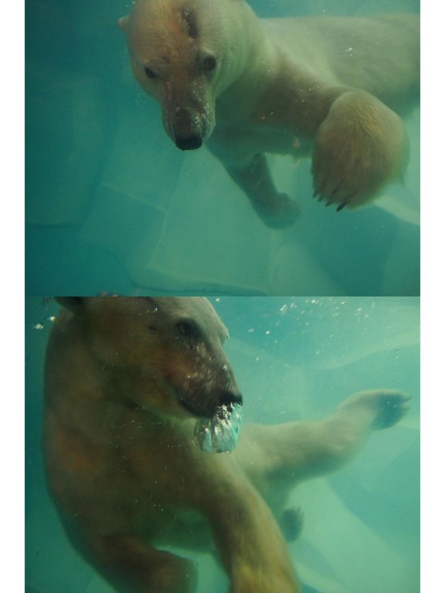 　20分間も楽しんだよ〜